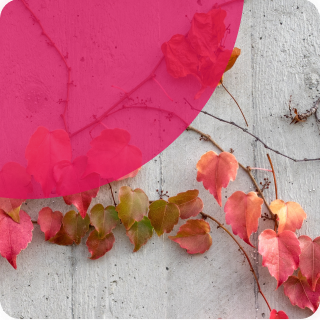 Грунтовки акриловые, адгезионные